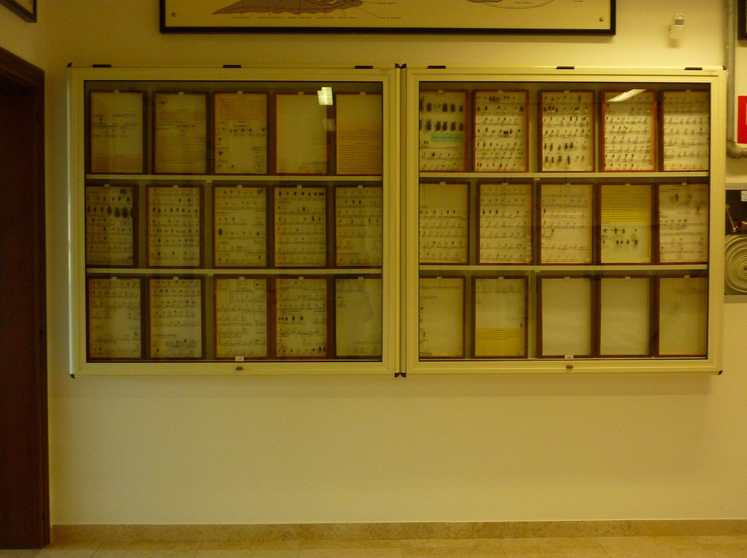 Museo di Storia Naturale-Chies d'Alpago必去景点
