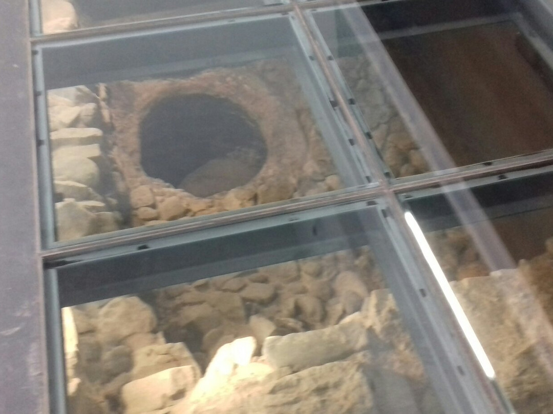 Nucleo Museologico景点图片