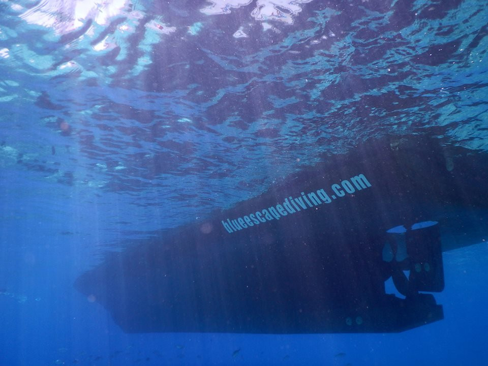 Blue Escape Diving Center-博德鲁姆必去景点