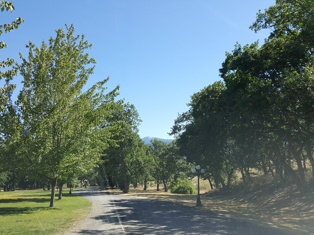 Grizzly Peak Winery-阿什兰必去景点