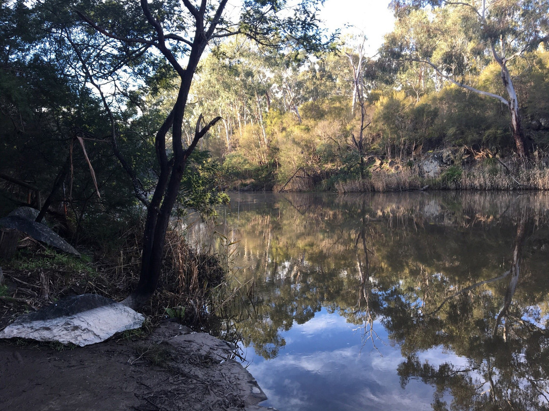 Jumping Creek Reserve景点图片