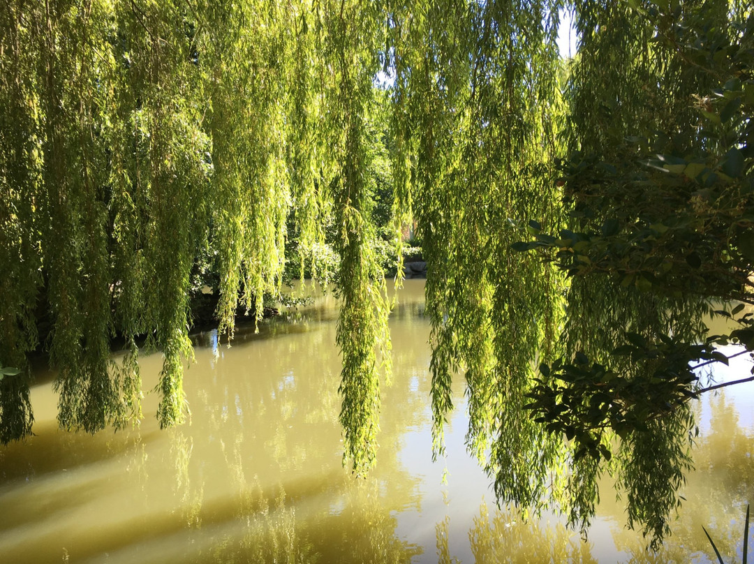 Jardin des Olfacties景点图片