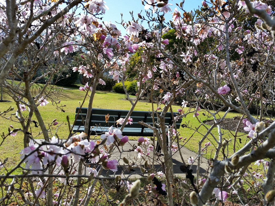 Picton Botanic Gardens-Picton必去景点