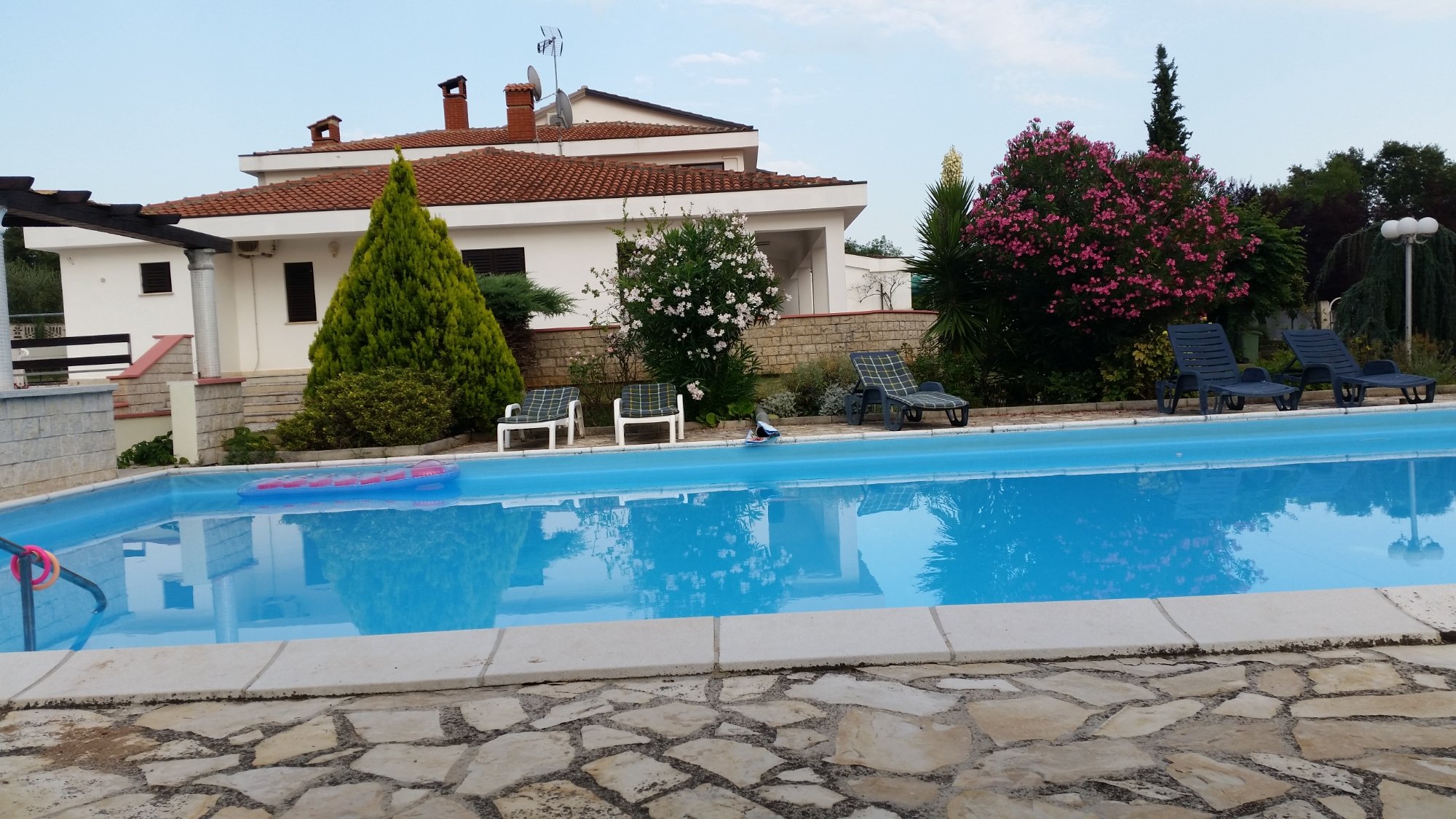 Hotel Villa Holiday-泳池
