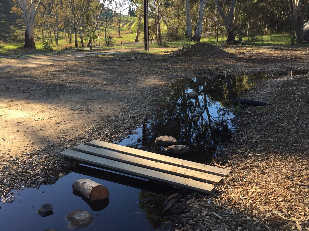 Richardson Park Playspace-克莱尔必去景点