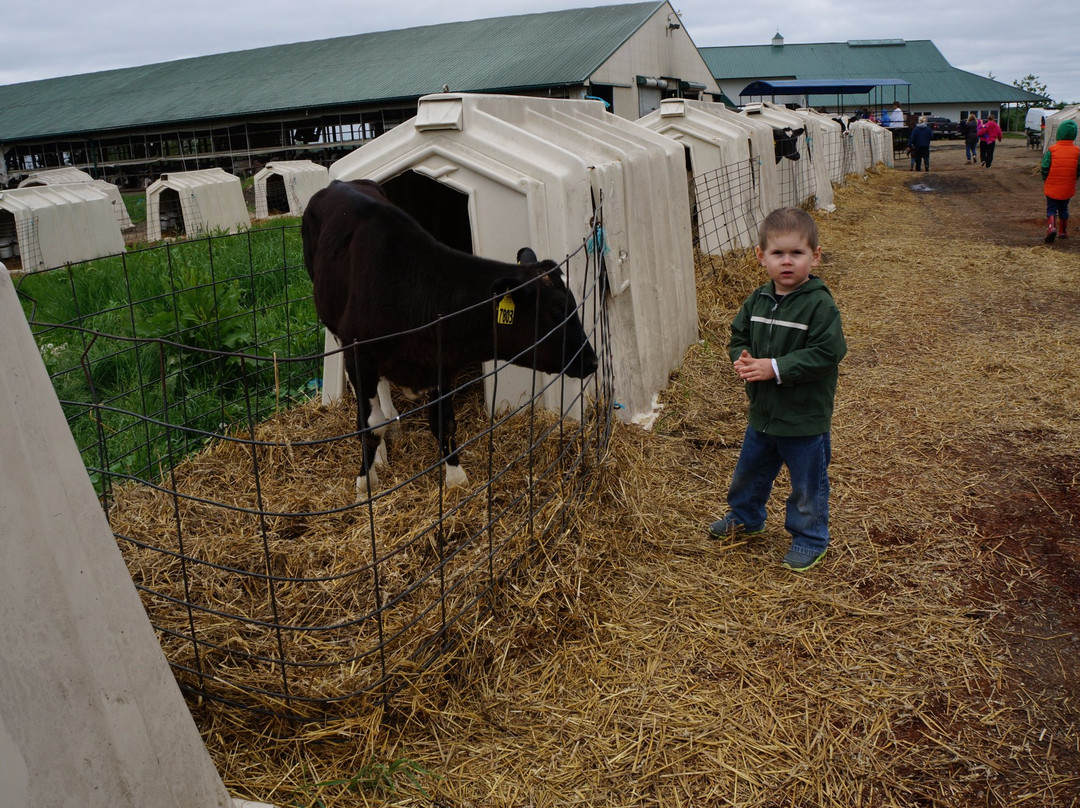 Hastings Dairy-Burton必去景点