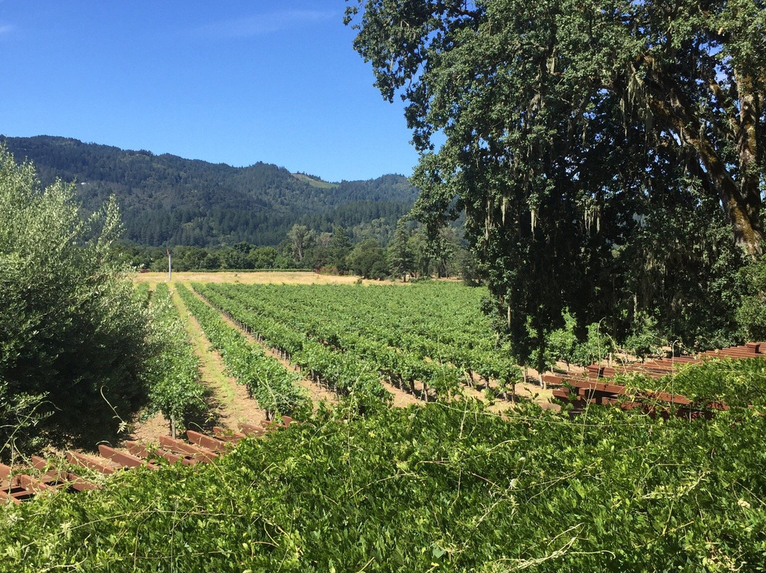 Venge Vineyards-卡利斯托加必去景点