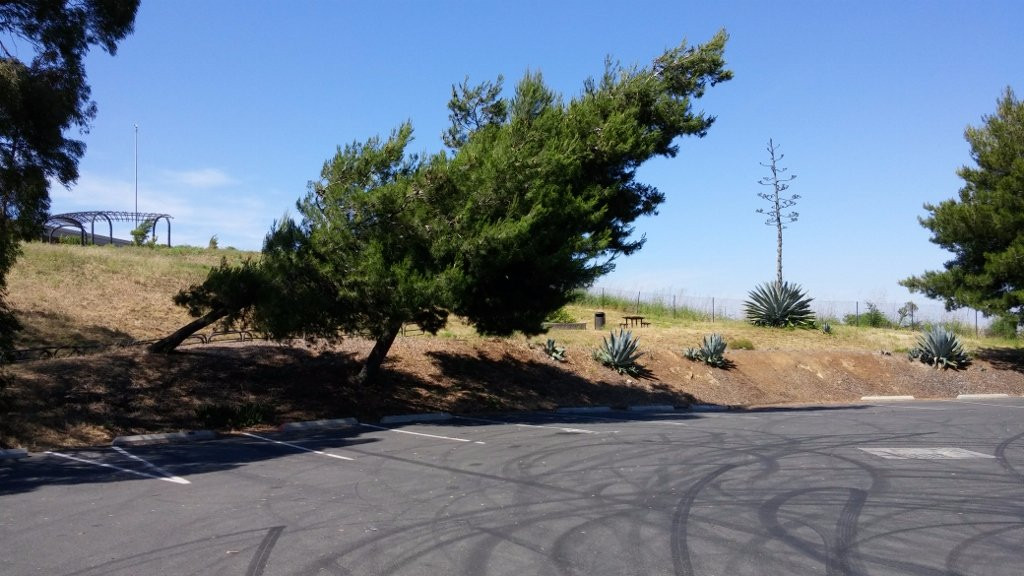 Benicia-Martinez Bridge Vista Point-贝尼西亚必去景点