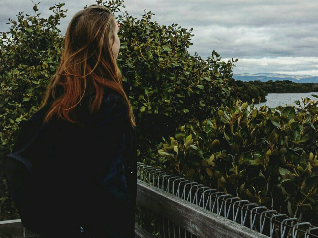 St Kilda Mangrove Trail and Interpretive Centre-圣基尔达必去景点