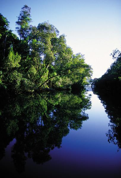 Endless Summer Hire-堤维德岬必去景点