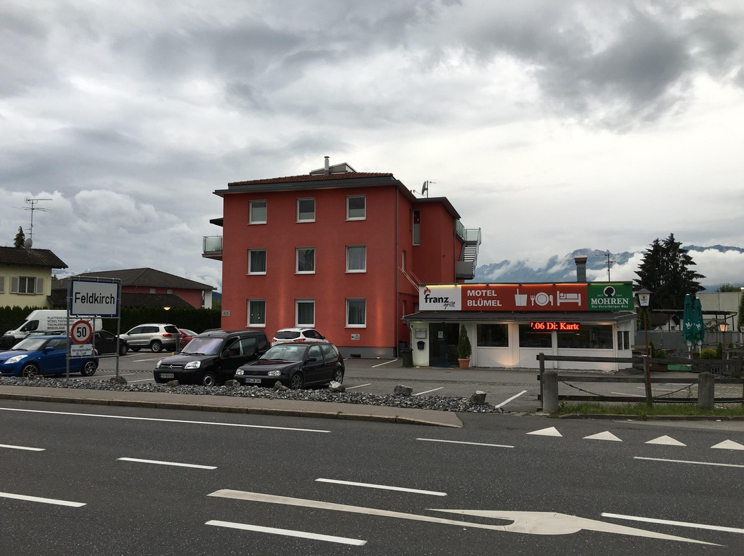 Oberriet酒店住宿-Laendle Motel