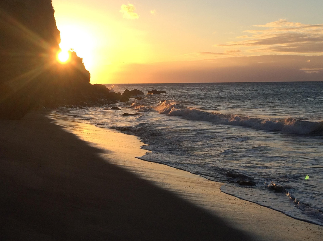 Montserrat Jolly Up Tours-Jolly Harbour必去景点