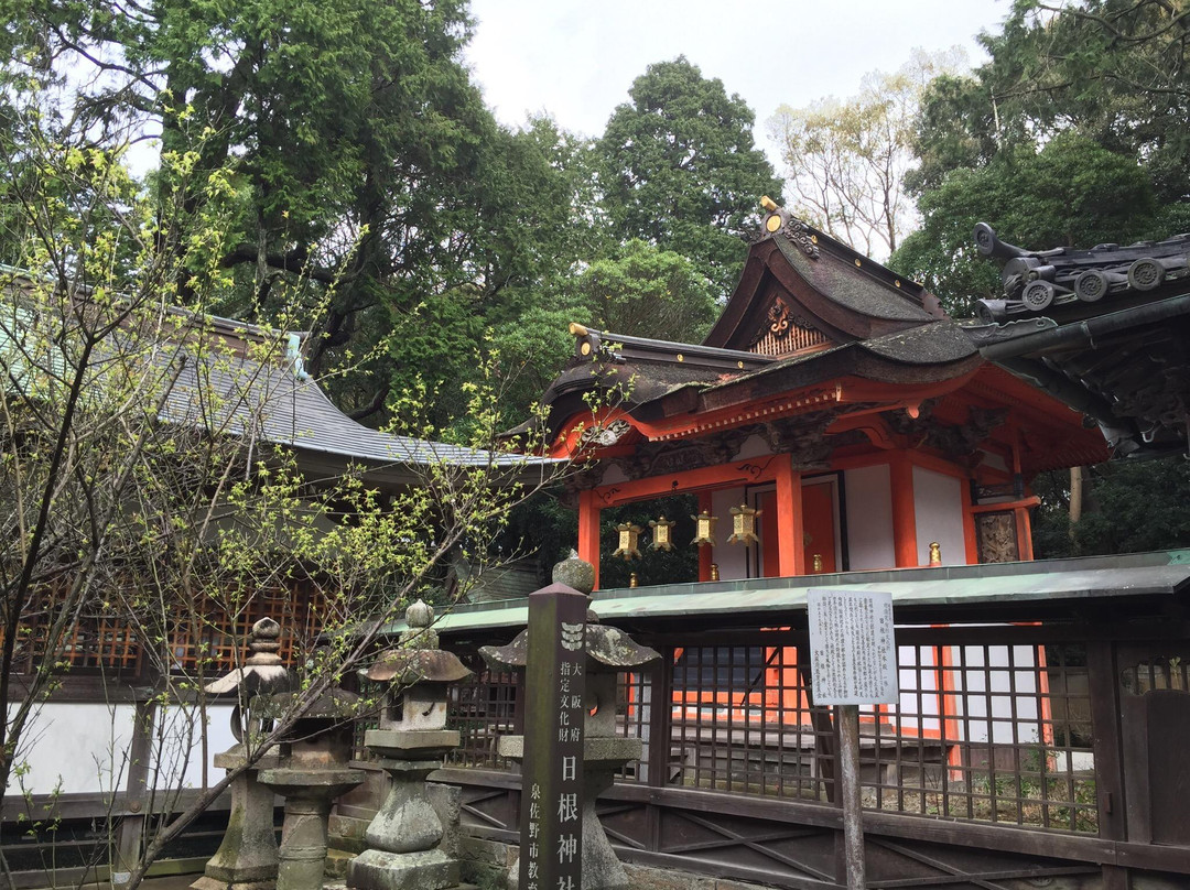 Hinen Shrine-泉佐野市必去景点