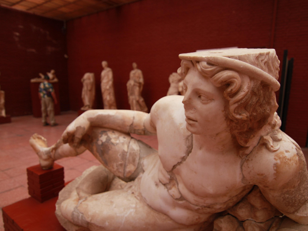 Ephesus Private Tours by Locals-塞尔丘克必去景点