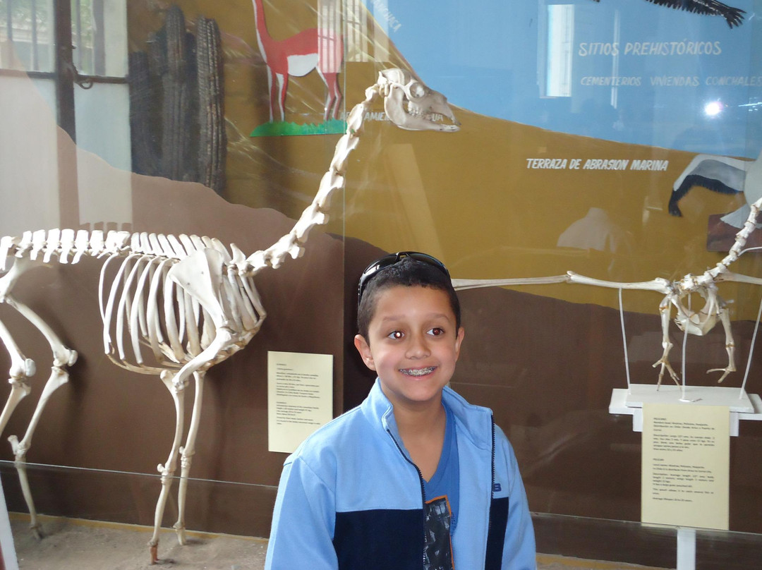 Museo De La Vivencia Religiosa Del Norte Grande-伊基克必去景点