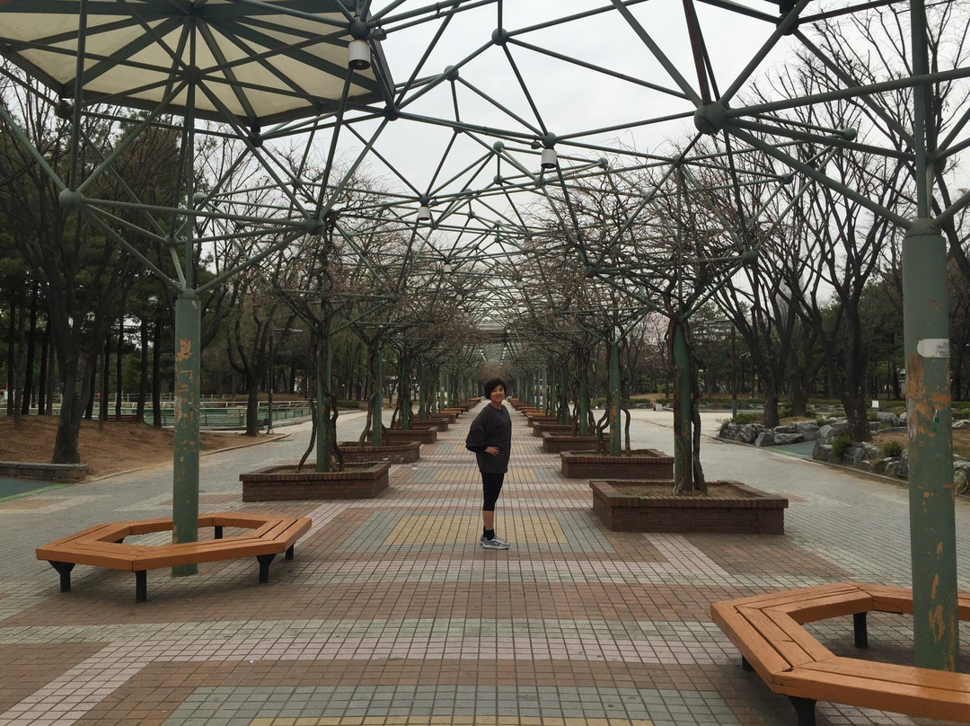 Bucheon Jungang Park-富川市必去景点