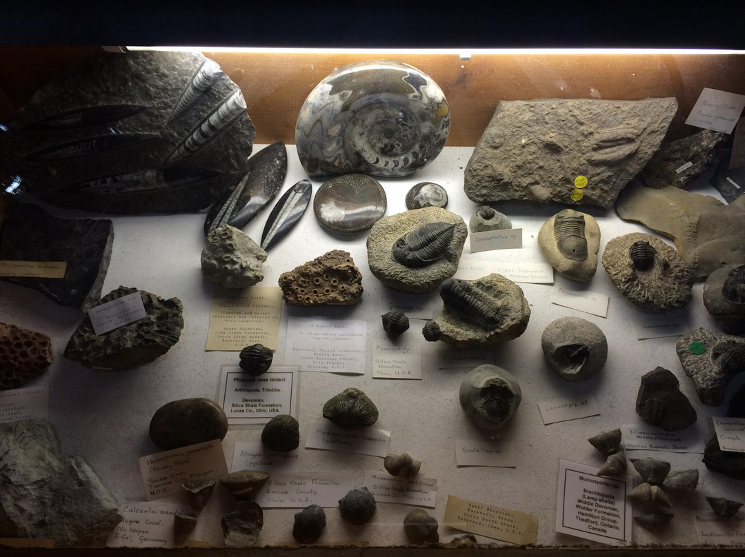 Stone Science景点图片