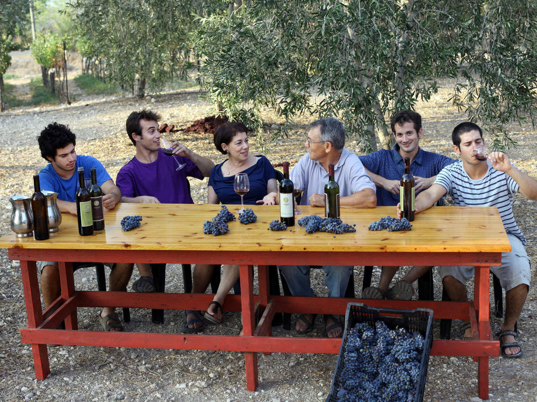 Zafririm Winery-Tsafririm必去景点