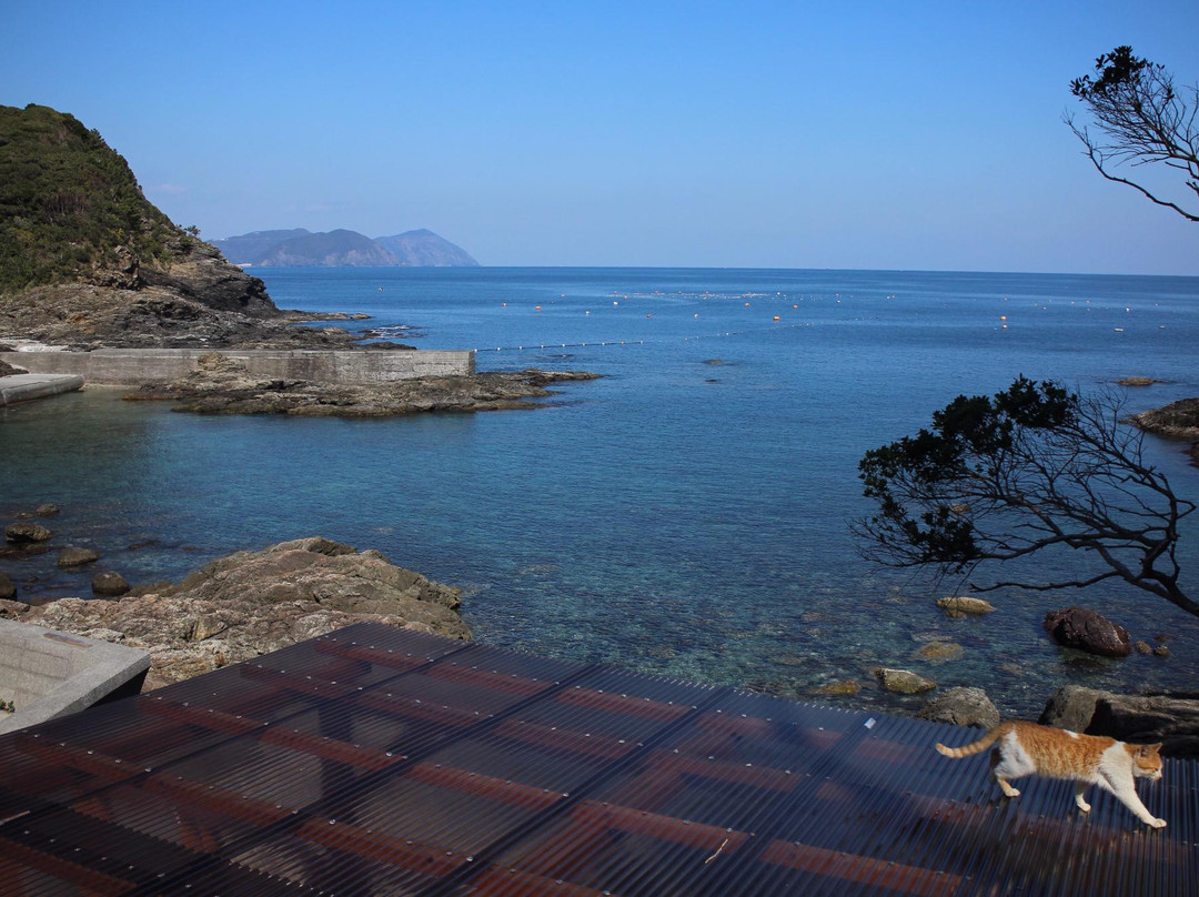 佐伯市旅游景点-Fukashima Island