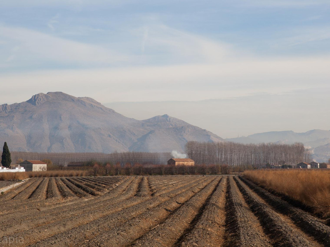 Fuente Vaqueros旅游攻略图片