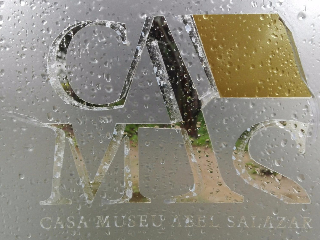 Casa-Museu Abel Salazar景点图片