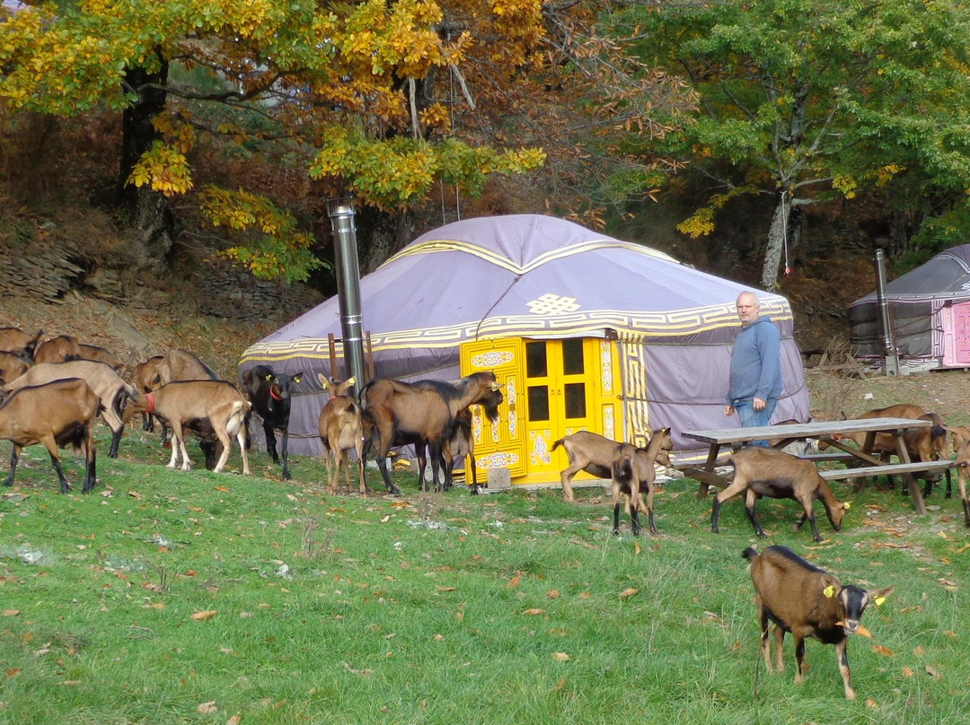 La Chevrerie des Felges