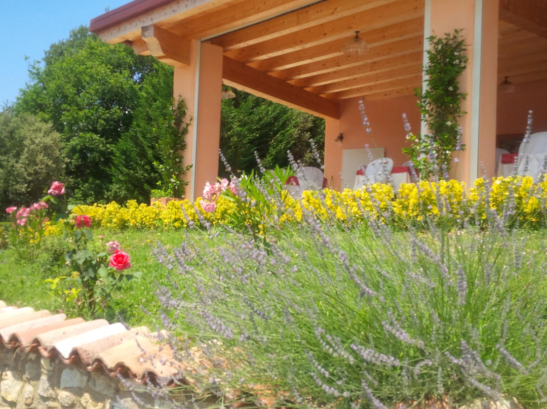 Agriturismo La Ginestra主图