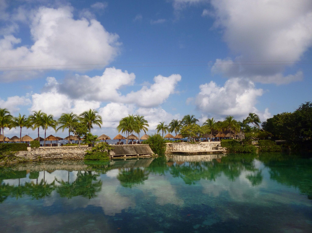 Chankanaab Reef-考祖梅必去景点