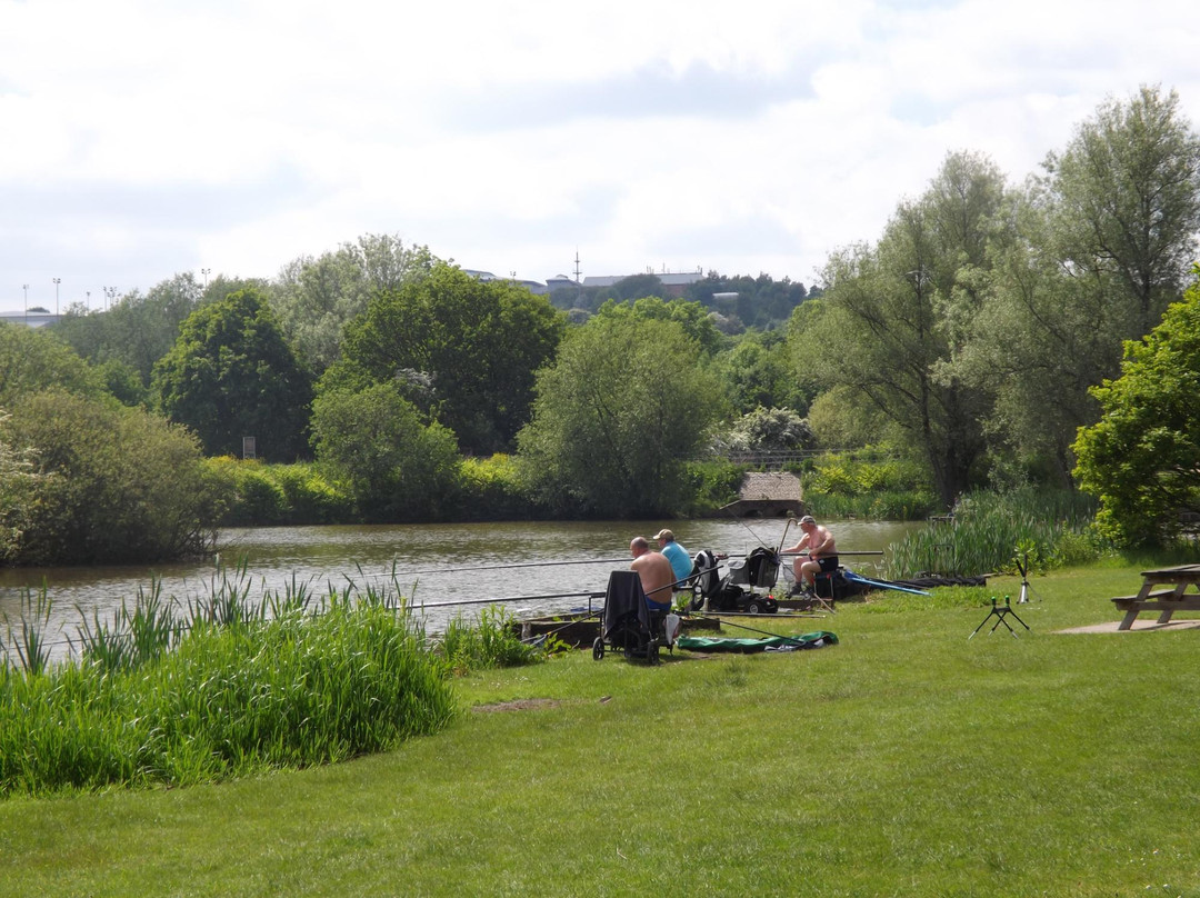 Dearne Valley Park景点图片