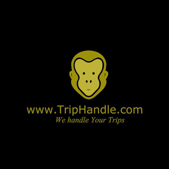 TripHandle景点图片