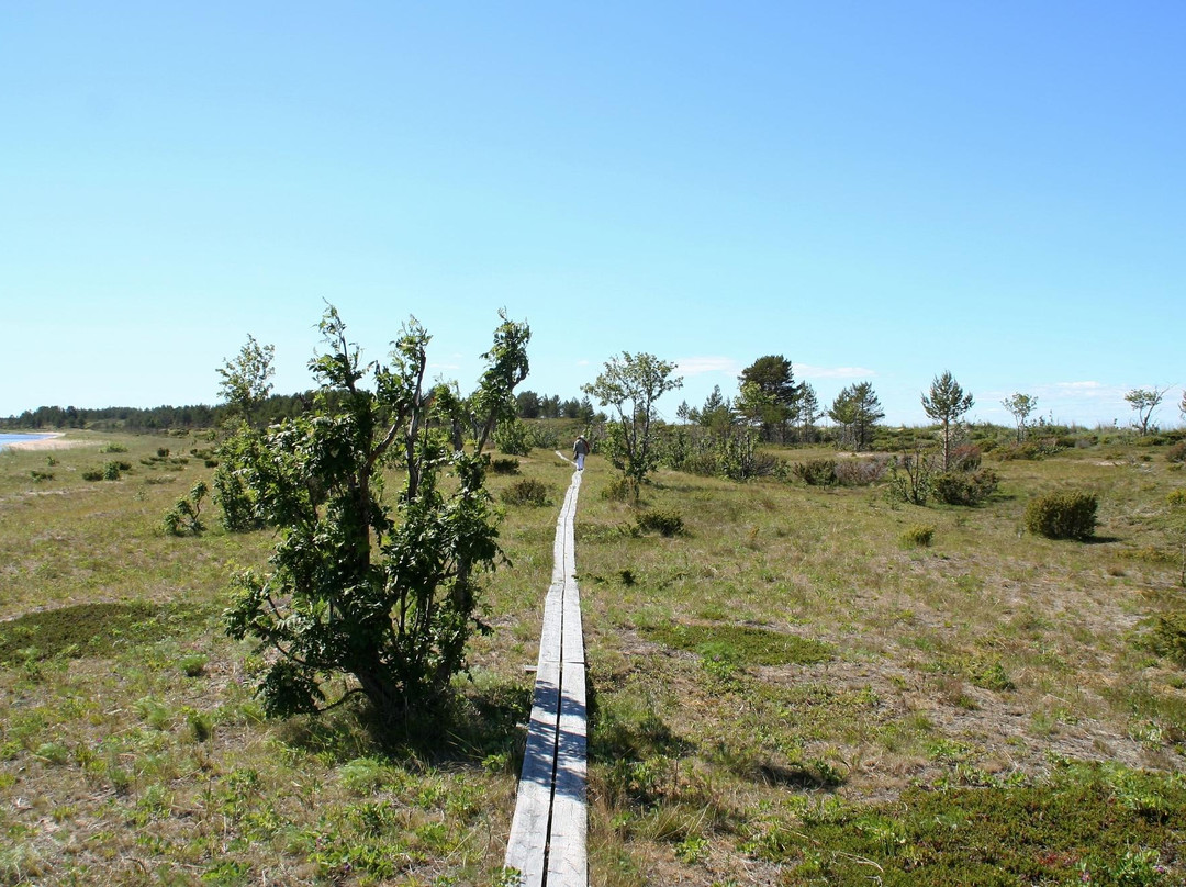 Lulea Archipelago-Luleå必去景点