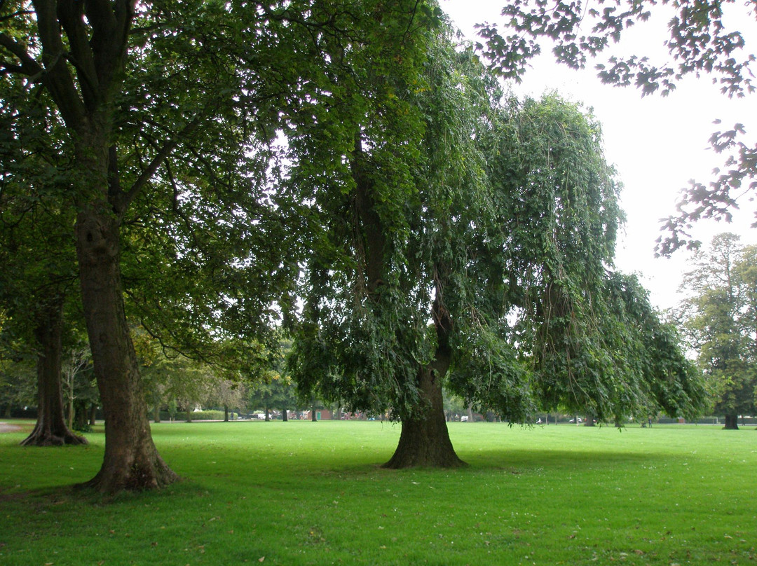 Pearson Park Wildlife Garden-赫尔河畔金斯顿必去景点