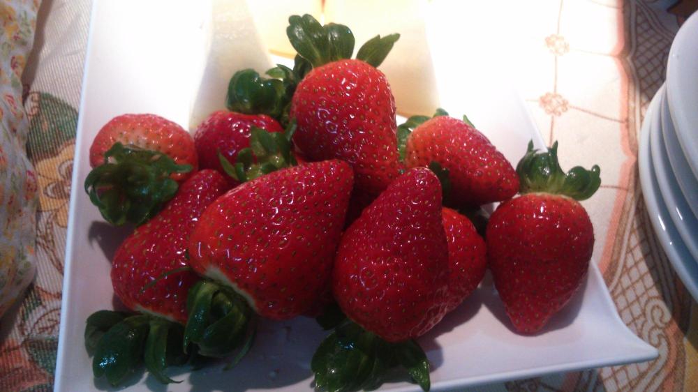 Pousada Bauernhof-餐饮