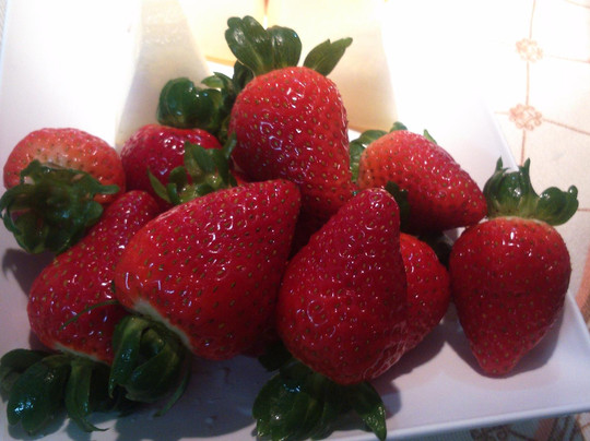 Pousada Bauernhof主图