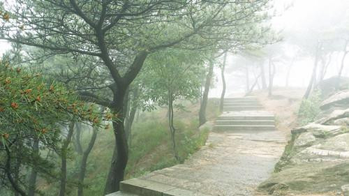 沂蒙山龟蒙景区（原平邑蒙山）-平邑县必去景点