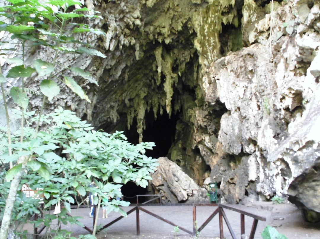 Cave of Guacharo景点图片