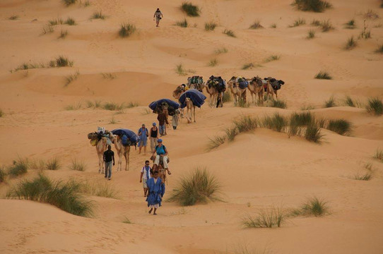 Nature Dream-瓦尔扎扎特必去景点