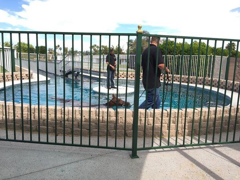 韦恩牛顿豪宅博物馆-拉斯维加斯必去景点