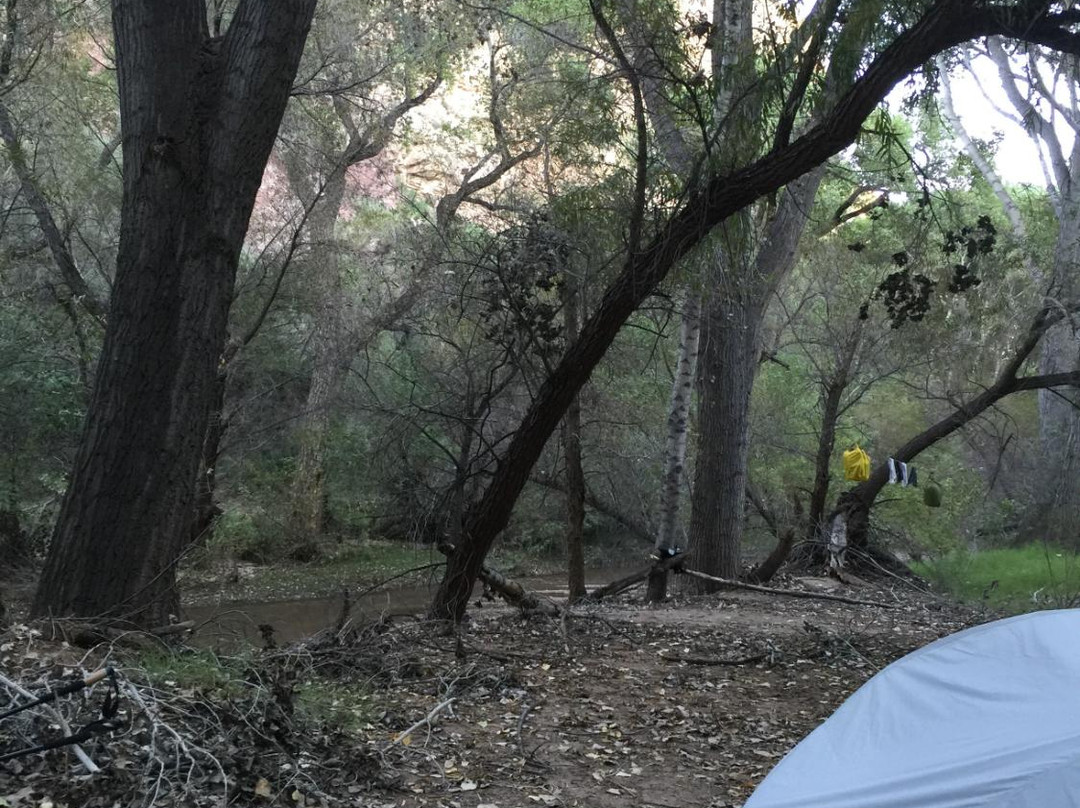 Aravaipa Canyon Wilderness - West Trailhead-Winkelman必去景点