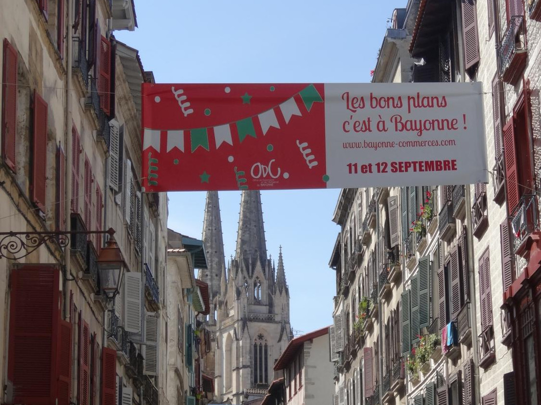 Bayonne Chocolate Street景点图片