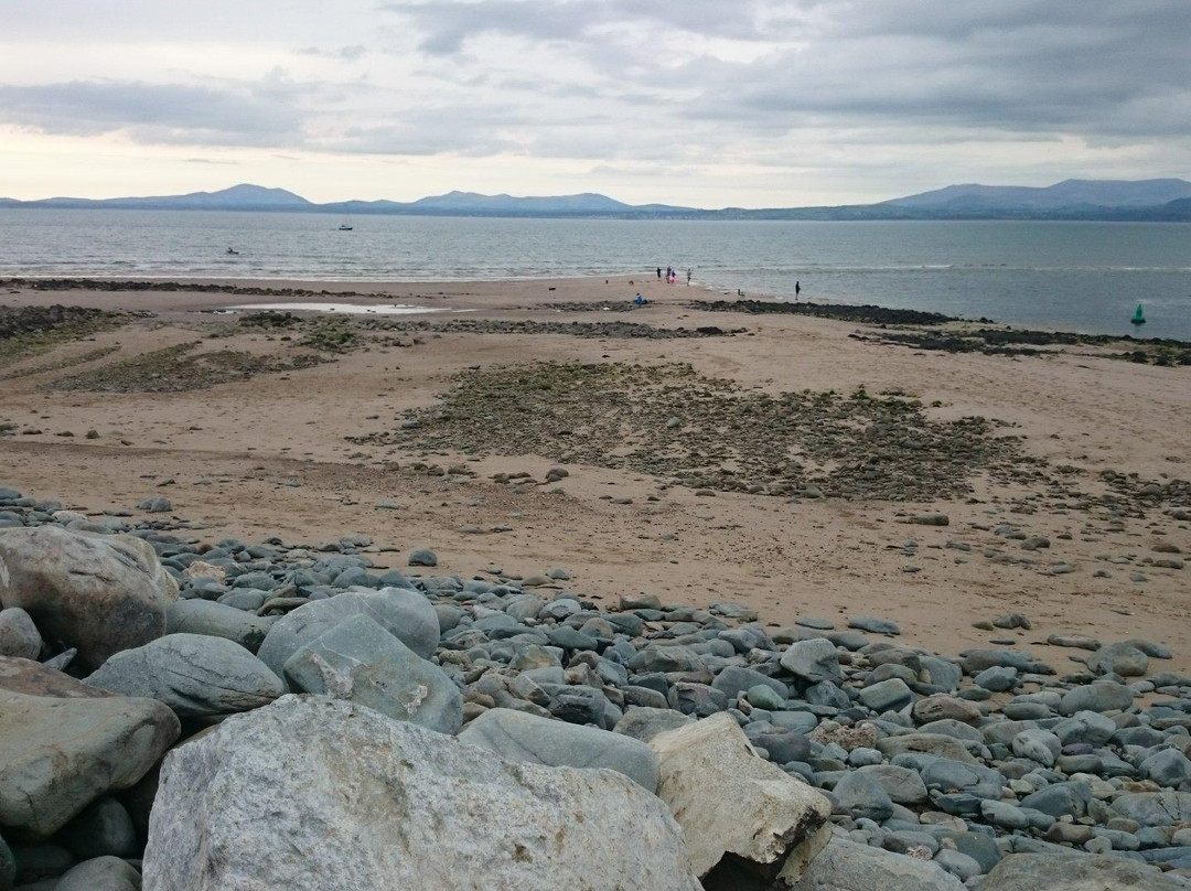 Shell Island