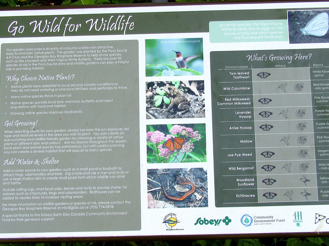 The Museum on Tower Hill-帕里桑德必去景点