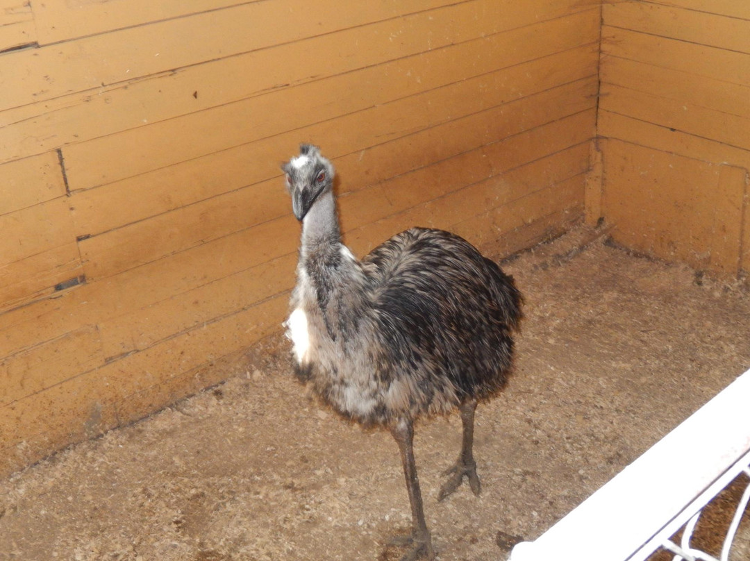 Nid'Otruche-Saint-Eustache必去景点