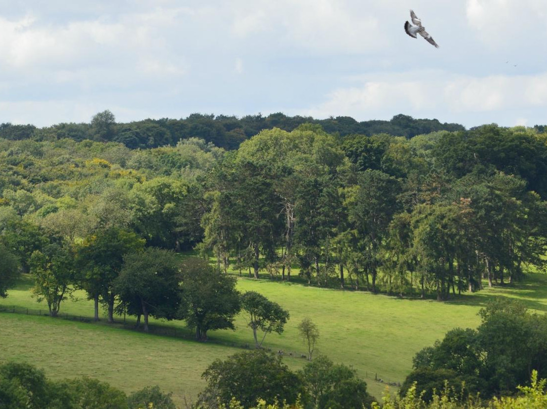 Maidensgrove旅游攻略图片