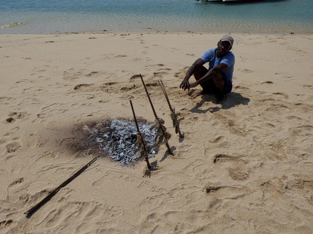 马菲亚岛酒店住宿-Butiama Beach Lodge