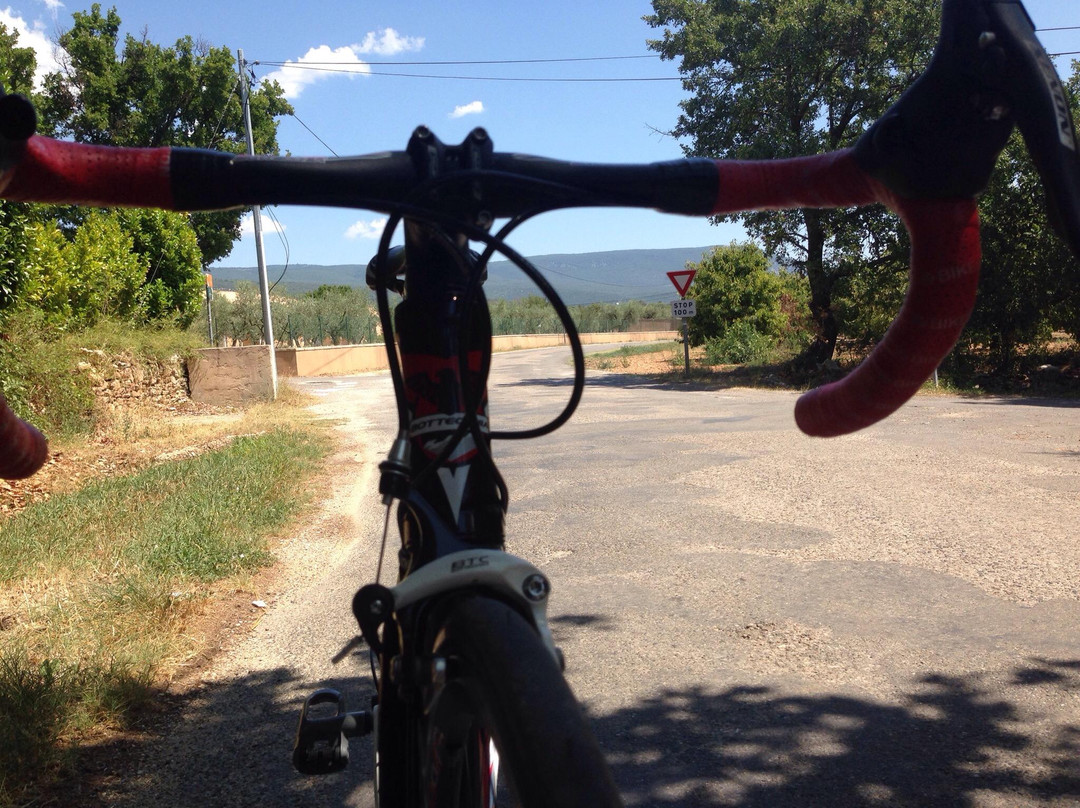 Luberon Cycles景点图片