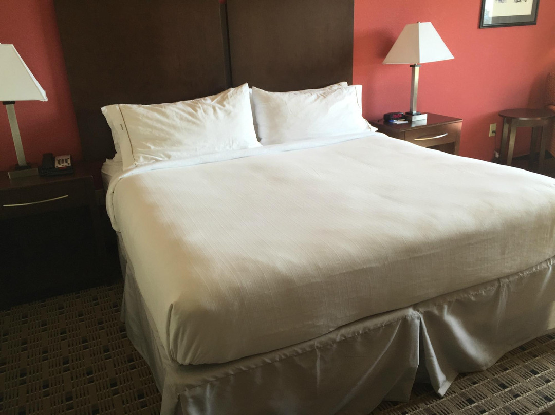 韦伯斯特酒店住宿-Holiday Inn Express & Suites Houston Space Ctr - Clear Lake by IHG