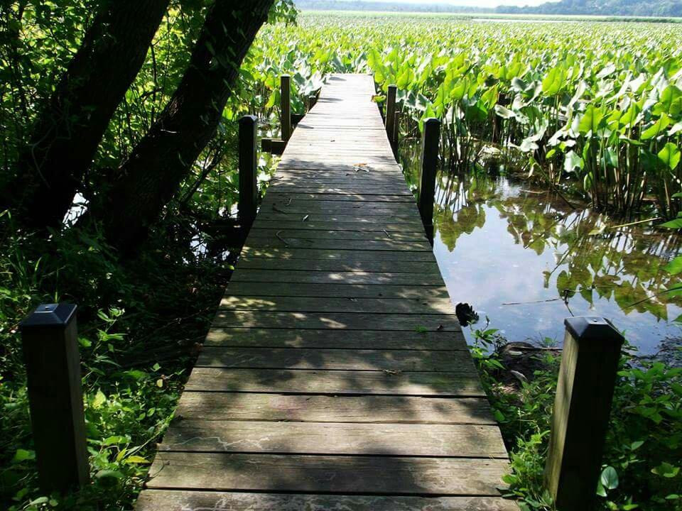 Jug Bay Wetlands Sanctuary景点图片