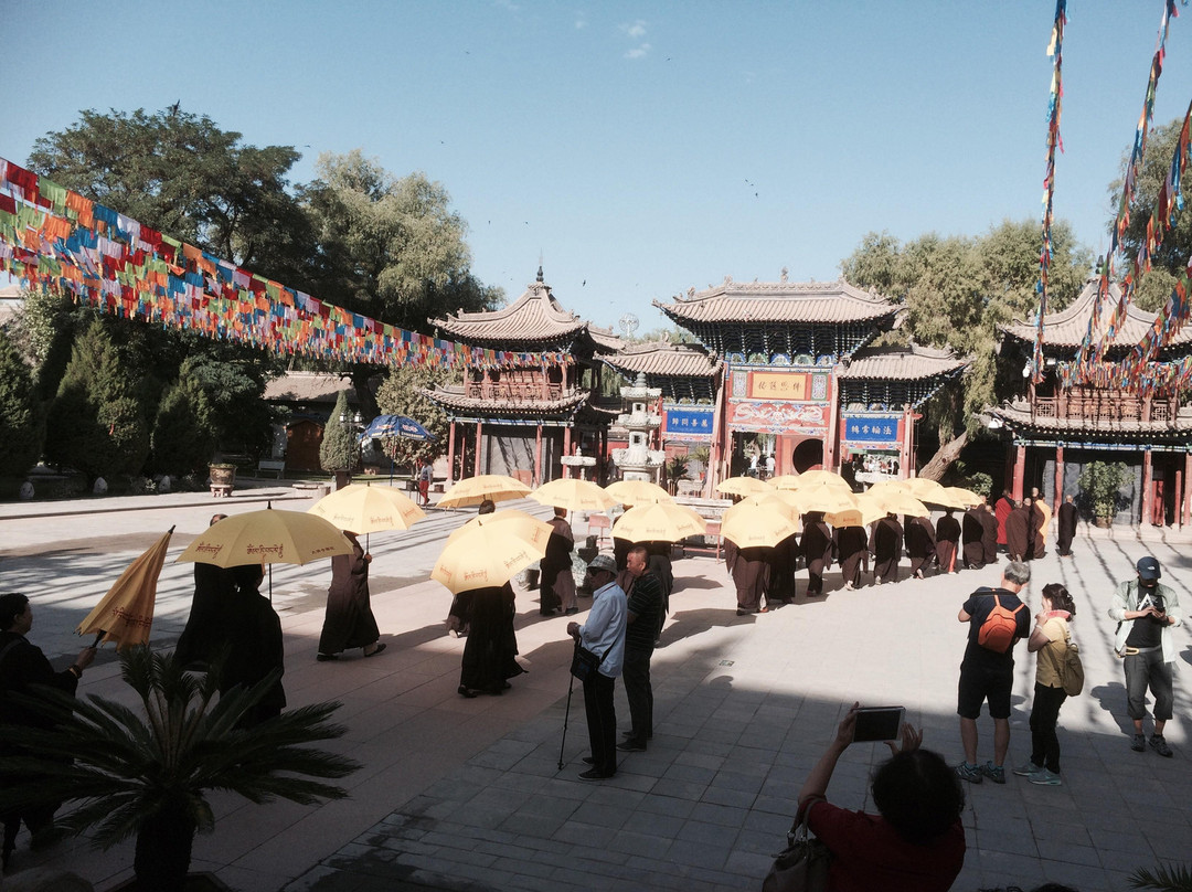 张掖大佛寺景点图片