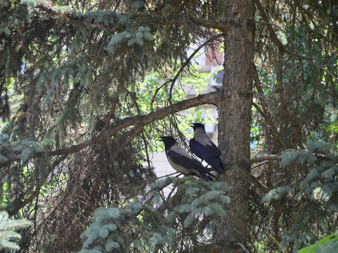 Central Park of Culture and Recreation-伏尔加格勒必去景点